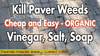 How to get rid of weeds on pavers and driveways Permanently  Organic Way