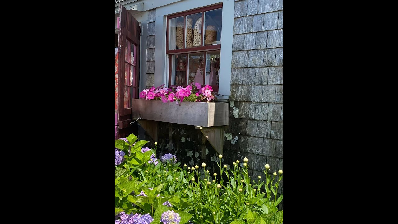 Growth and Abundance #growth #abundance #energy