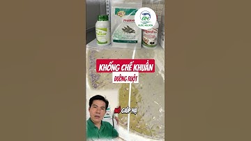 Acid hữu cơ – Giải pháp mới thay kháng sinh giúp tôm khỏe đường ruột!