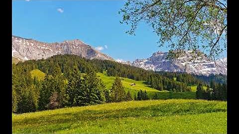 سورة ٱل عمران بصوت القارئ مصطفى البيلوني