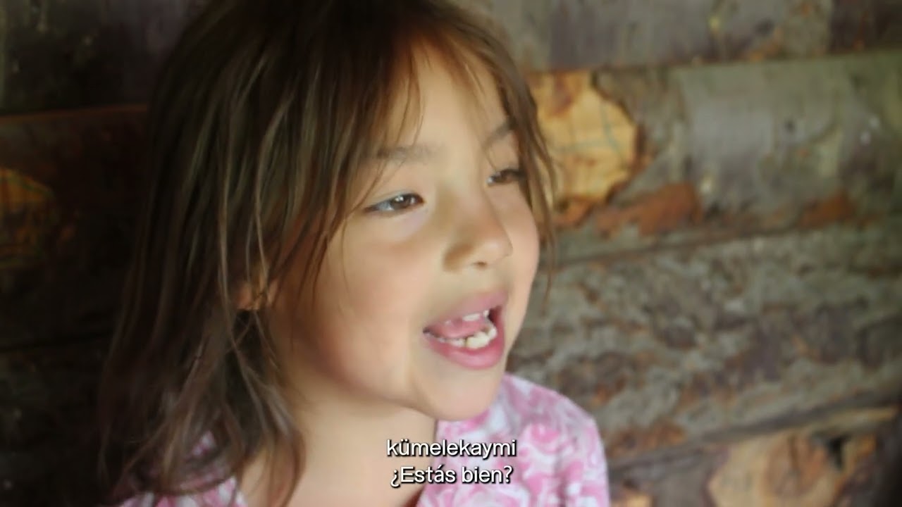 NOSOTRAS. Una biografía situada. EP 2: Vanesa Buchile