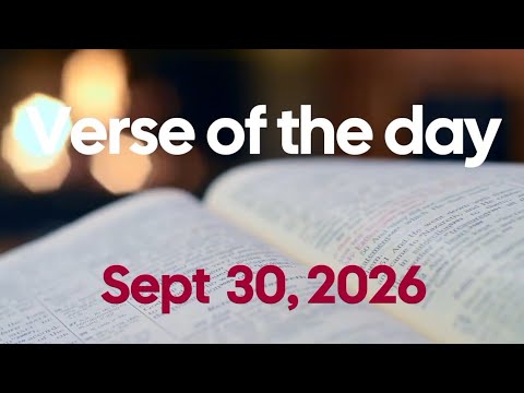 Why Should Our Church Leaders Speak Up About Domestic Violence? | Verse of the Day