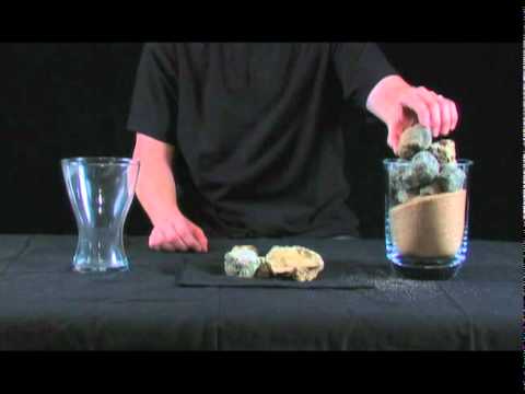 Fast Forward Commercial