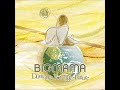 BIG MAMA Paper-Craft Cover2