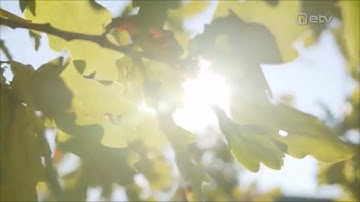 Mu isamaa, mu õnn ja rõõm (ERR)