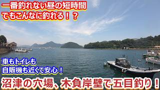 #150 Five-Species Fishing at Kioe Wharf, a Hidden Gem in Numazu!