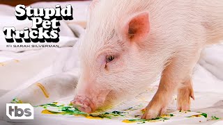 This Firehouse Pig Knows How To Paint (Clip) | Stupid Pet Tricks | TBS by TBS 2,691 views 1 month ago 3 minutes, 18 seconds