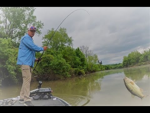 Lake Dardanelle Bass Fishing