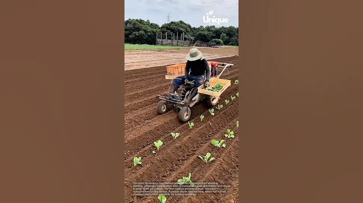 Automated seedling planter: revolutionizing small-scale farming