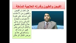 هل تعلم أن الفيجن والطيون يساعد في علاج الشلل وضعف الاعصاب وامور كثيرة تعرف عليها من هذا الفيديو