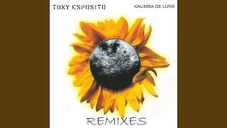 Kalimba de Luna (Kamasutra & Bini Radio Mix)