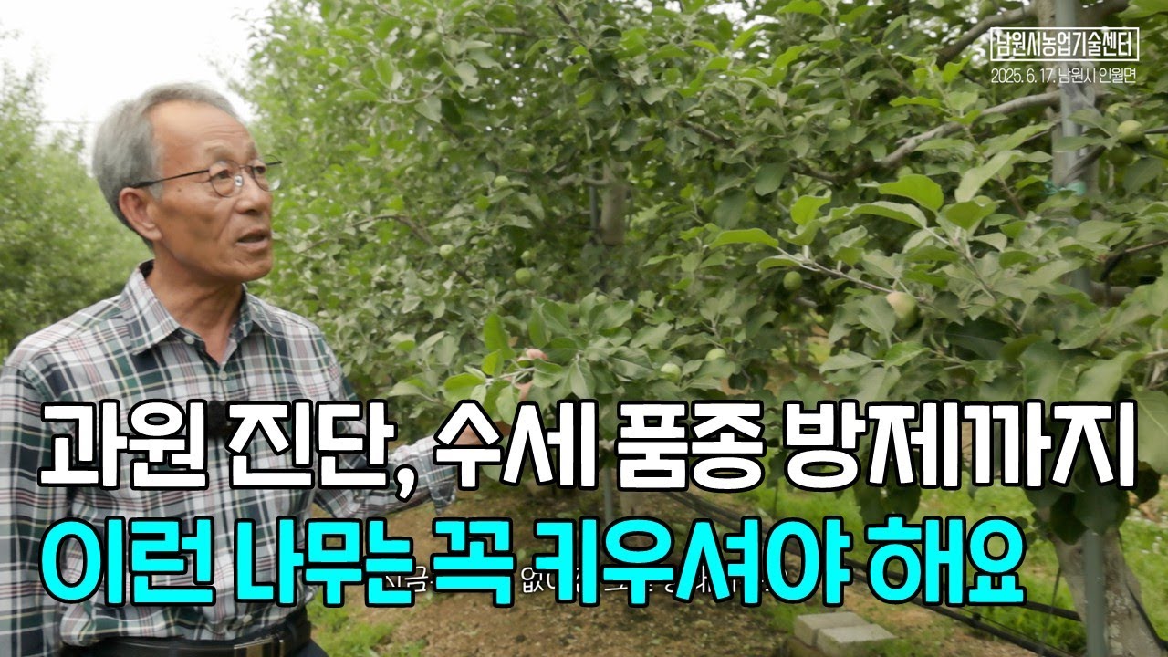 사과 과원진단, 수세 품종 방제까지 이런 나무는 꼭 키우세요!