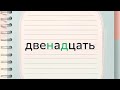 Топ 10 самых сложных словарных слов русского языка 1 класс Топ 10 самых сложных словарных слов русского языка 1 класс