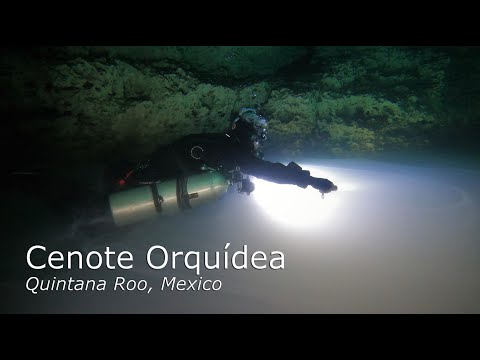 Diving Cenote Orquidea - Mexico