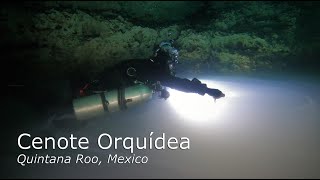 Diving Cenote Orquidea - Mexico
