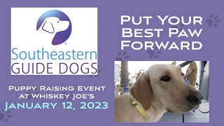 Southeastern Guide Dogs | Puppy Raising