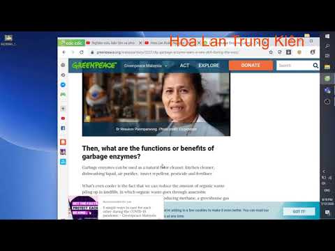 What is GE? Gargage Enzyme or Good Enzyme / GE là gì? Định nghĩa GE theo Hoa Lan Trung Kiên