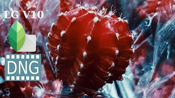 LG V10 + Google Snapseed RAW DNG Controls |Simple|
