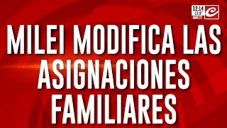 Milei Modifica Las Asignaciones Familiares Cambia La Tarjeta Alimentar, La Auh Y La Aue