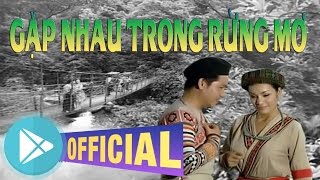 Video thumbnail of "Gặp nhau trong rừng mơ - Trọng Tấn ft Tân Nhàn"