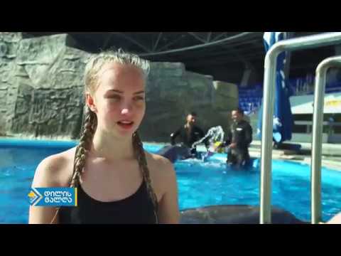 დილის ტალღა: \"ბათუმის სავიზიტო ბარათი - დელფინარიუმი\"