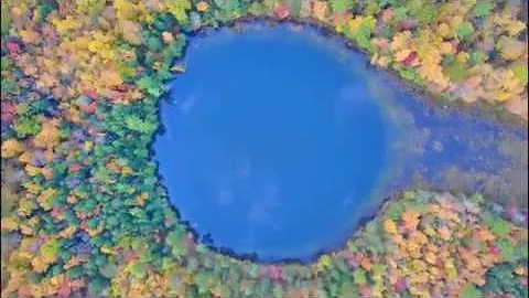 Northern Michigan Fall Color 2019