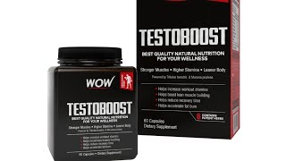 WoW TESTOBOOST Review