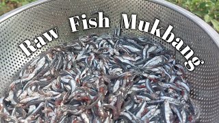 Fresh and raw mukbang // Kilawin na 'alidengdeng' fish