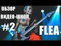 ОБЗОР ВИДЕО-ШКОЛ #2 | FLEA