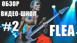 ОБЗОР ВИДЕО-ШКОЛ #2 | FLEA