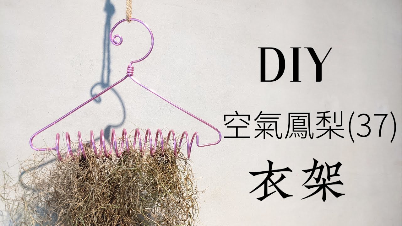 DIY wire 教你如何使用彩色鋁線製作空氣鳳梨  松蘿 衣架 How to make Aluminum wire Air plant