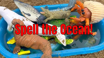 Spell Ocean Toy Names for Kids!