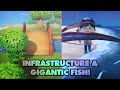 Infrasturcture &amp; LEGENDARY FISH! - Animal Crossing New Horizons