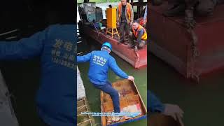 Dry Land Guy Tries Tiny Boat, Ends Up Falling In Water 😂