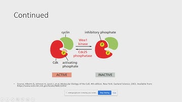 NPTEL Cell Biology: Cellular organization, division and processes Problem Solving, Week 2