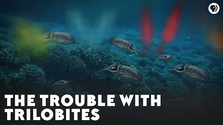 The Trouble With Trilobites - DayDayNews