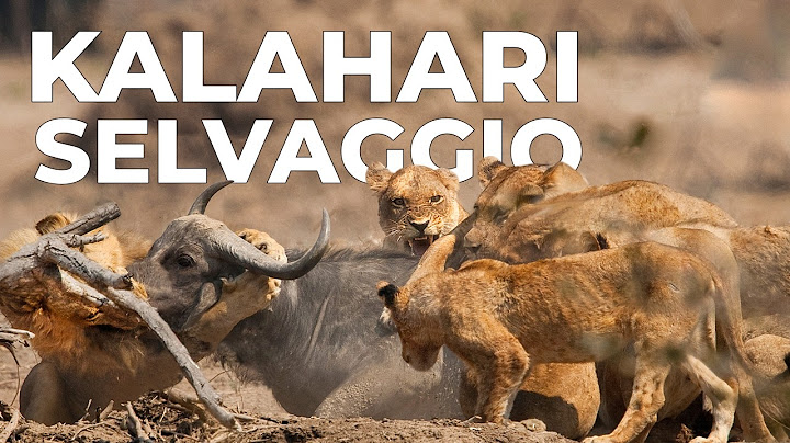 KALAHARI | La Lotta Per la Sopravvivenza nel Deserto Africano - Documentario Animali