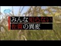 みんな知らない佐賀の異変 COOL CHOICE 佐賀県 みんな知らない佐賀の異変 COOL CHOICE 佐賀県