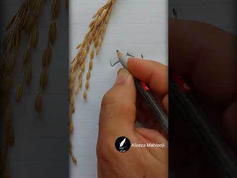 زهرا خوشنویسی اسم زیبای شما با نستعلیق ثلث نسخ نوین    