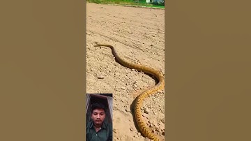 mahadev status mahakal status bholenath status #status #shivshiv  #mahadev