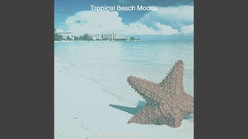 Sublime Backdrops for Calm Vibes