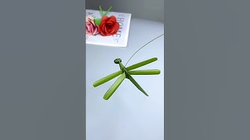 Use palm leaves to weave a cute dragonfly for your children. You can learn it at a glance.