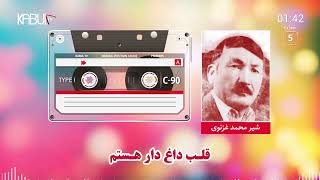 شیر غزنوی - آهنگ مست افغانی - قلب داغ دارهستم | Shir Ghaznawi - qalb daghdar