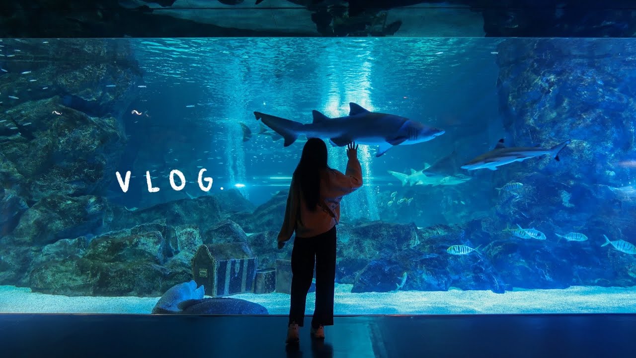 L(IN)H KOREA VLOG ???????? | coex aquarium & mall