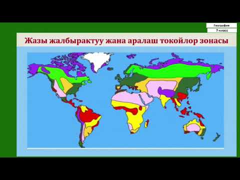 Video: Жаратылыш кандайча коомдук түзүлүш болуп саналат?