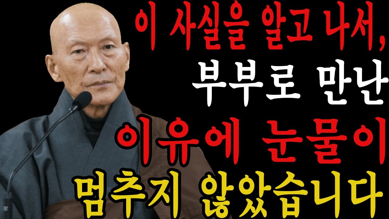 이 사실을 알고 나서, 부부로 만난 이유에 눈물이 멈추지 않았습니다  l 법정 스님 l 부처님 말씀 l 석가모니 l 행복한 노후 l 삶의지혜