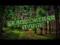 Беловежская пуща ● Вело-маршрут "Большое путешествие" / Bialowieza forest