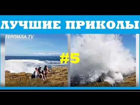 #5 ЛУЧШИЕ ПРИКОЛЫ 2018 МАРТ | BEST FUNDS MARCH