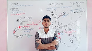 Life history of Nostoc  lec-3  #mducee2023 #mdurohtak #mducee #csirnetjrf  #csirnet #lifesciences