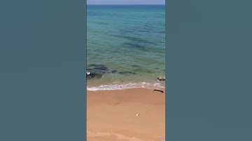 Nếu thấy nước biển màu đỏ #amazingfacts #matkinhcan #tintuc #tientung #funny #nhungsuthatthuvi